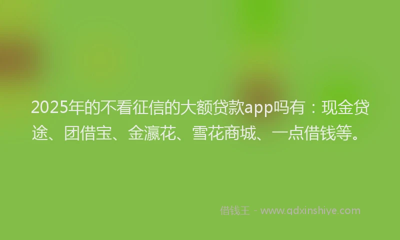 2025年的不看征信的大额贷款app吗有：现金贷途、团借宝、金瀛花、雪花商城、一点借钱等。
