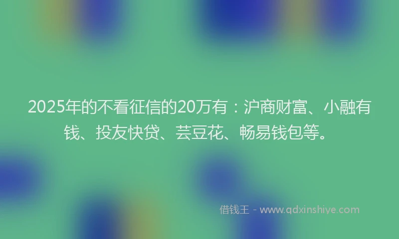 2025年的不看征信的20万有：沪商财富、小融有钱、投友快贷、芸豆花、畅易钱包等。