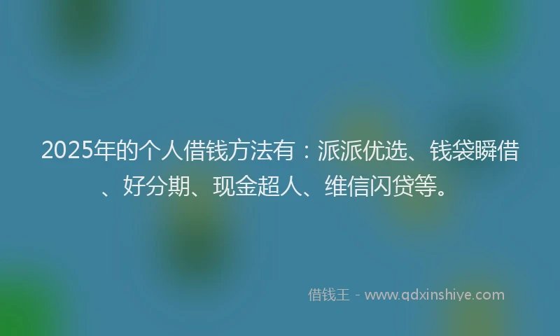 2025年的个人借钱方法有：派派优选、钱袋瞬借、好分期、现金超人、维信闪贷等。