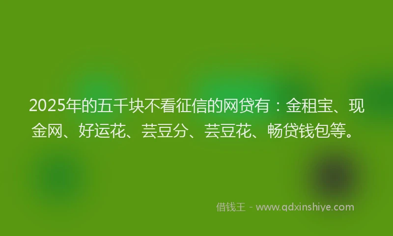 2025年的五千块不看征信的网贷有：金租宝、现金网、好运花、芸豆分、芸豆花、畅贷钱包等。