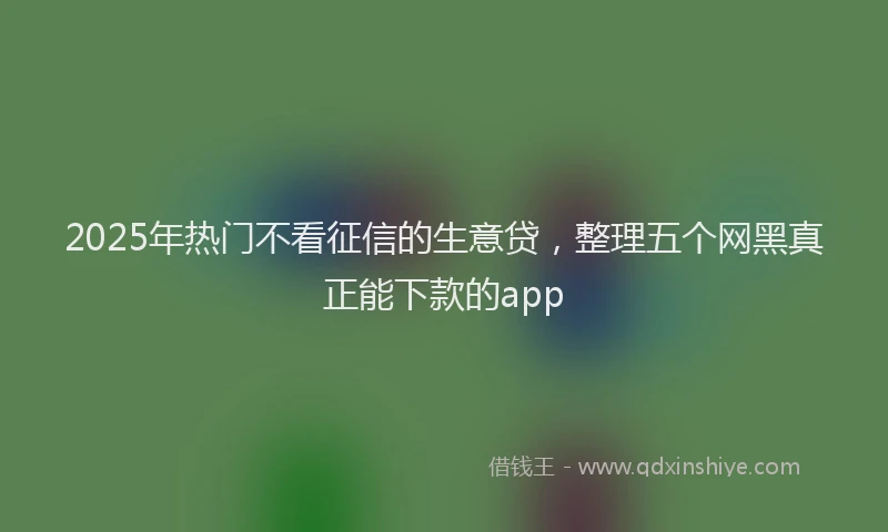 2025年热门不看征信的生意贷，整理五个网黑真正能下款的app