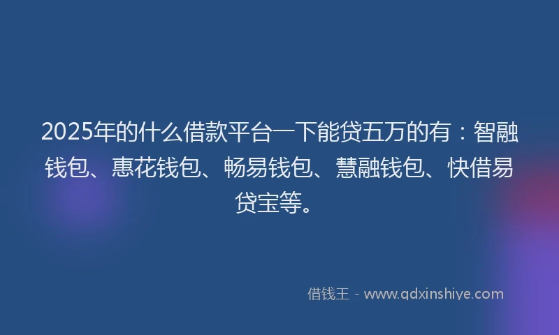 2025年的什么借款平台一下能贷五万的有：智融钱包、惠花钱包、畅易钱包、慧融钱包、快借易贷宝等。