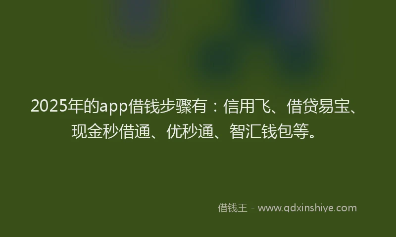 2025年的app借钱步骤有：信用飞、借贷易宝、现金秒借通、优秒通、智汇钱包等。