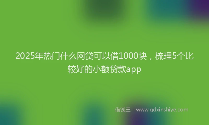 2025年热门什么网贷可以借1000块，梳理5个比较好的小额贷款app