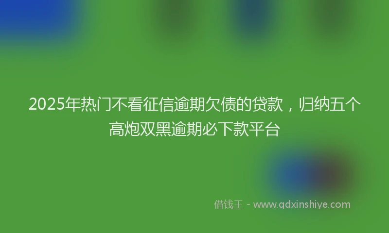 2025年热门不看征信逾期欠债的贷款，归纳五个高炮双黑逾期必下款平台