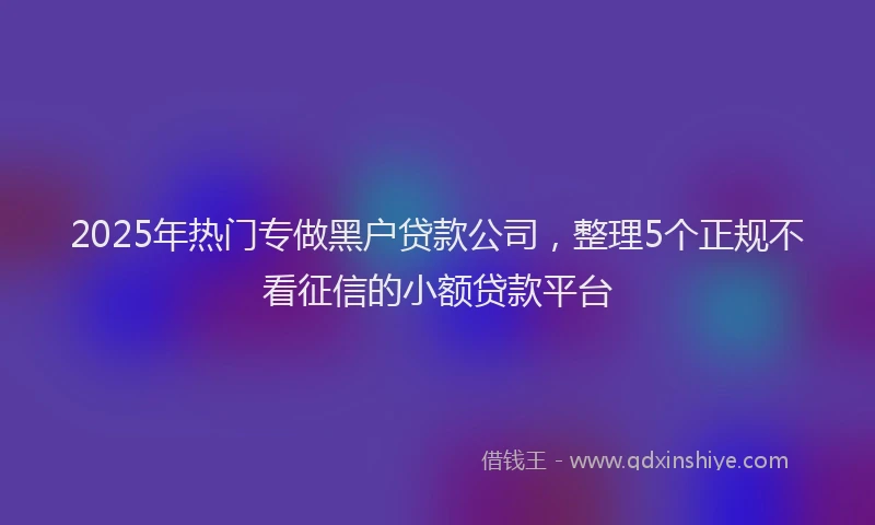 2025年热门专做黑户贷款公司，整理5个正规不看征信的小额贷款平台