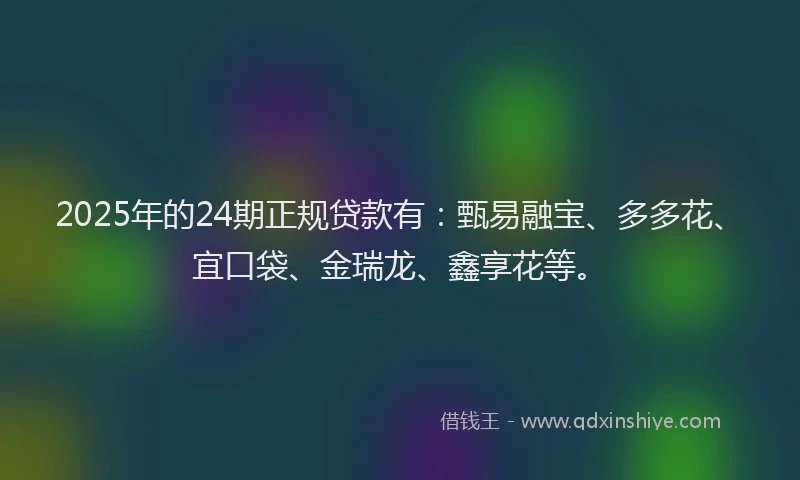 2025年的24期正规贷款有：甄易融宝、多多花、宜口袋、金瑞龙、鑫享花等。