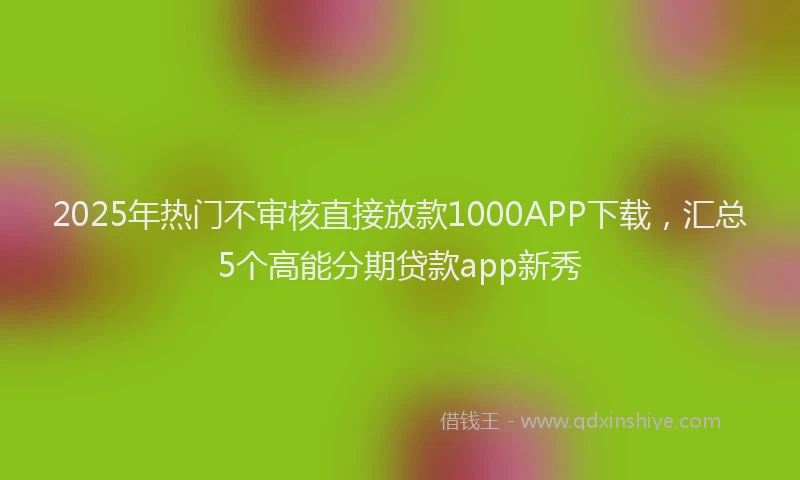 2025年热门不审核直接放款1000APP下载，汇总5个高能分期贷款app新秀