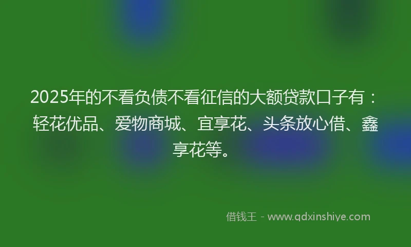 2025年的不看负债不看征信的大额贷款口子有：轻花优品、爱物商城、宜享花、头条放心借、鑫享花等。