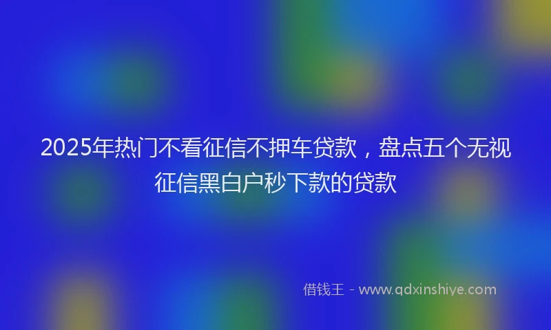 2025年热门不看征信不押车贷款，盘点五个无视征信黑白户秒下款的贷款