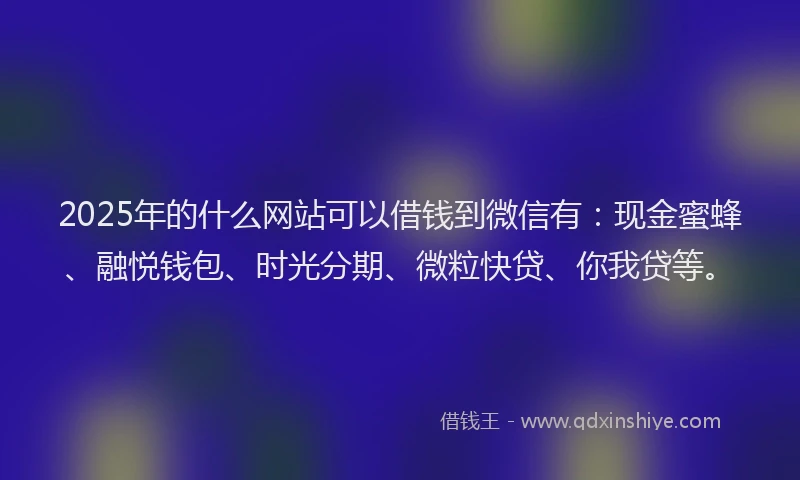 2025年的什么网站可以借钱到微信有：现金蜜蜂、融悦钱包、时光分期、微粒快贷、你我贷等。