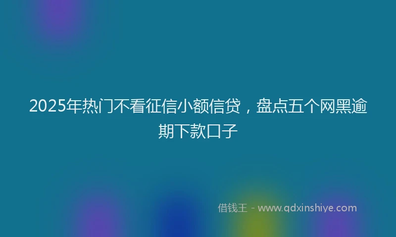 2025年热门不看征信小额信贷，盘点五个网黑逾期下款口子