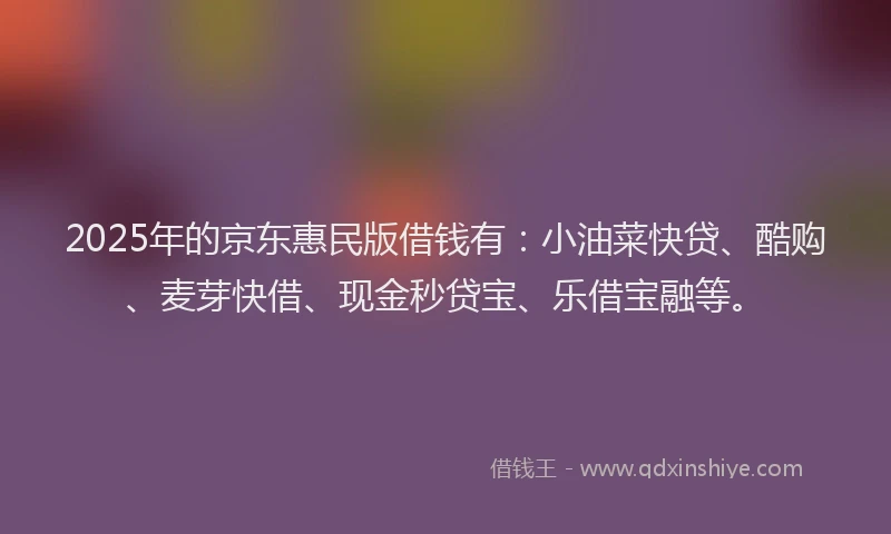 2025年的京东惠民版借钱有：小油菜快贷、酷购、麦芽快借、现金秒贷宝、乐借宝融等。
