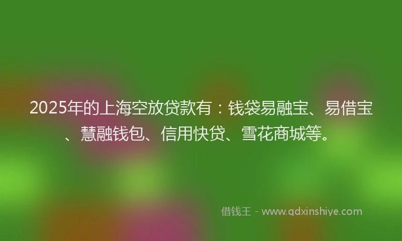 2025年的上海空放贷款有：钱袋易融宝、易借宝、慧融钱包、信用快贷、雪花商城等。