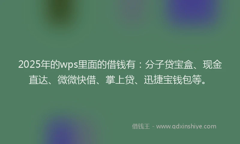 2025年的wps里面的借钱有：分子贷宝盒、现金直达、微微快借、掌上贷、迅捷宝钱包等。