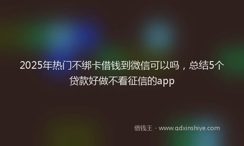 2025年热门不绑卡借钱到微信可以吗，总结5个贷款好做不看征信的app