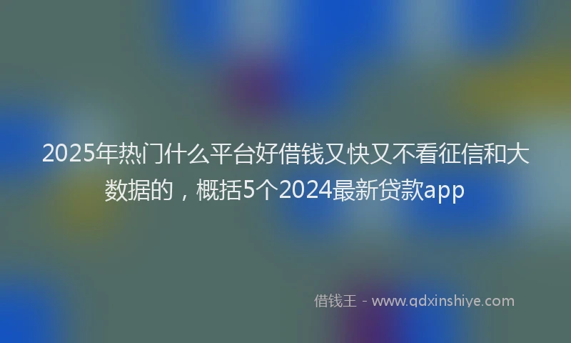 2025年热门什么平台好借钱又快又不看征信和大数据的，概括5个2024最新贷款app