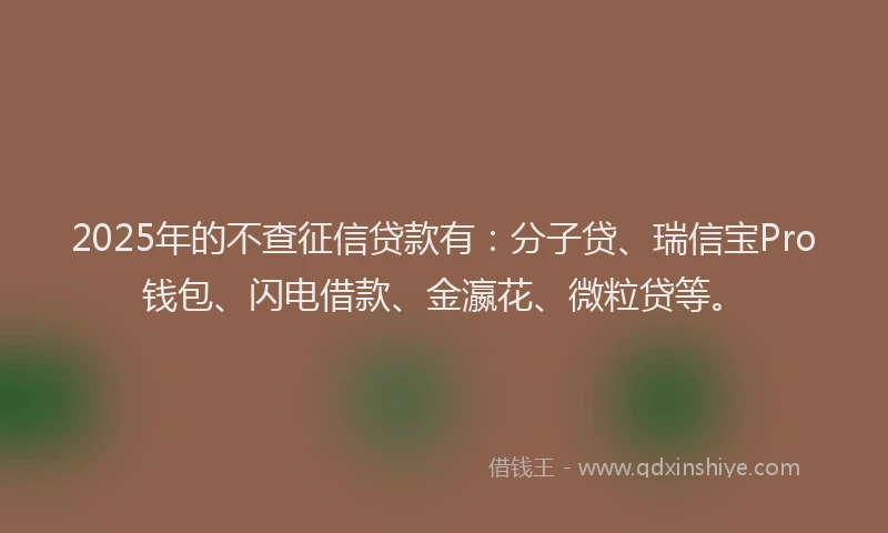 2025年的不查征信贷款有：分子贷、瑞信宝Pro钱包、闪电借款、金瀛花、微粒贷等。