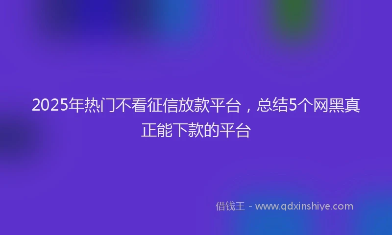 2025年热门不看征信放款平台，总结5个网黑真正能下款的平台