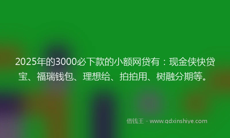 2025年的3000必下款的小额网贷有：现金侠快贷宝、福瑞钱包、理想给、拍拍用、树融分期等。