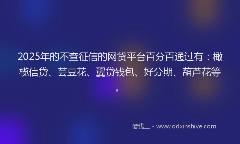 2025年的不查征信的网贷平台百分百通过有：橄榄信贷、芸豆花、翼贷钱包、好分期、葫芦花等。