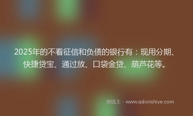 2025年的不看征信和负债的银行有：现用分期、快捷贷宝、通过放、口袋金贷、葫芦花等。