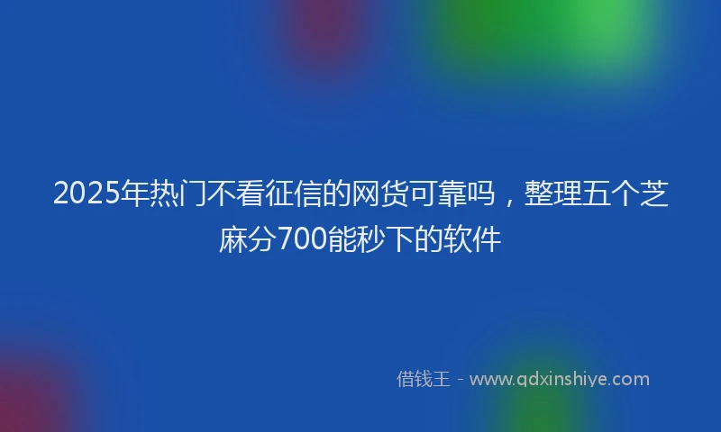2025年热门不看征信的网货可靠吗，整理五个芝麻分700能秒下的软件