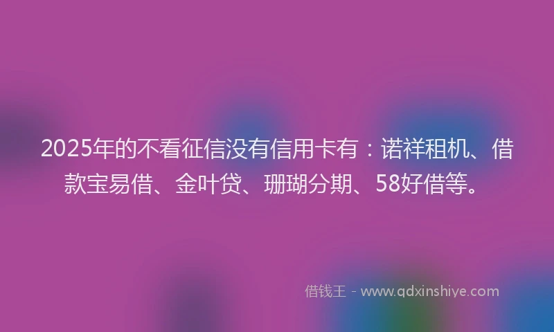 2025年的不看征信没有信用卡有：诺祥租机、借款宝易借、金叶贷、珊瑚分期、58好借等。