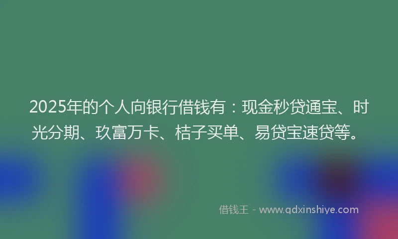 2025年的个人向银行借钱有：现金秒贷通宝、时光分期、玖富万卡、桔子买单、易贷宝速贷等。