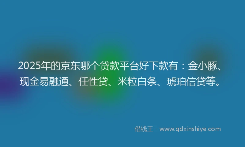 2025年的京东哪个贷款平台好下款有：金小豚、现金易融通、任性贷、米粒白条、琥珀信贷等。