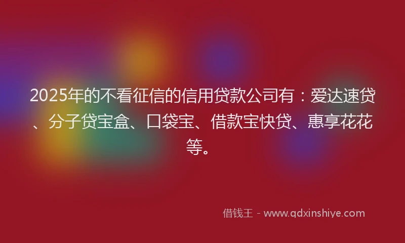 2025年的不看征信的信用贷款公司有：爱达速贷、分子贷宝盒、口袋宝、借款宝快贷、惠享花花等。