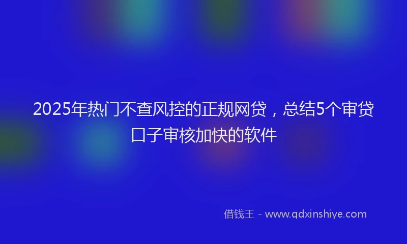 2025年热门不查风控的正规网贷，总结5个审贷口子审核加快的软件