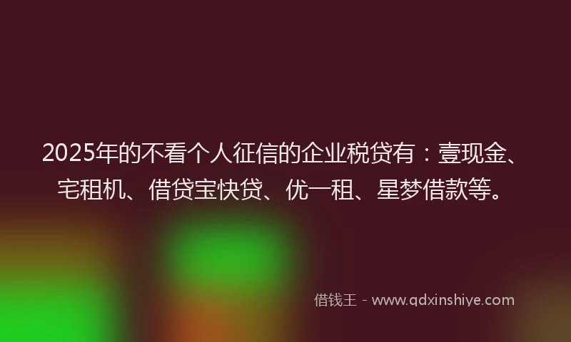 2025年的不看个人征信的企业税贷有：壹现金、宅租机、借贷宝快贷、优一租、星梦借款等。