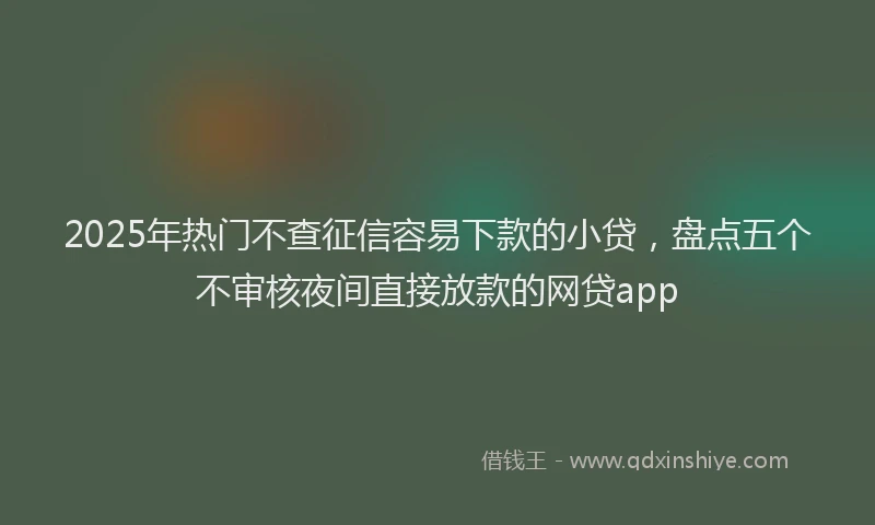 2025年热门不查征信容易下款的小贷，盘点五个不审核夜间直接放款的网贷app