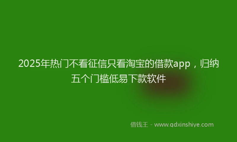 2025年热门不看征信只看淘宝的借款app，归纳五个门槛低易下款软件