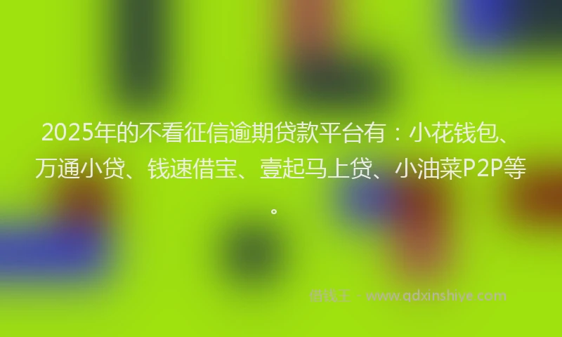 2025年的不看征信逾期贷款平台有：小花钱包、万通小贷、钱速借宝、壹起马上贷、小油菜P2P等。