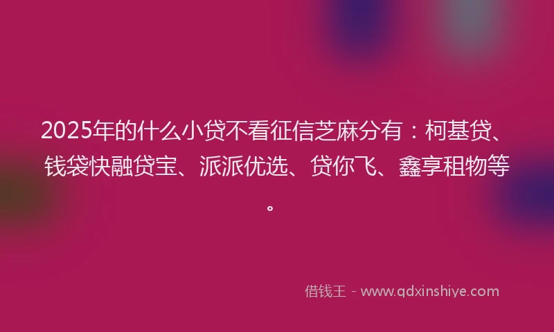 2025年的什么小贷不看征信芝麻分有：柯基贷、钱袋快融贷宝、派派优选、贷你飞、鑫享租物等。
