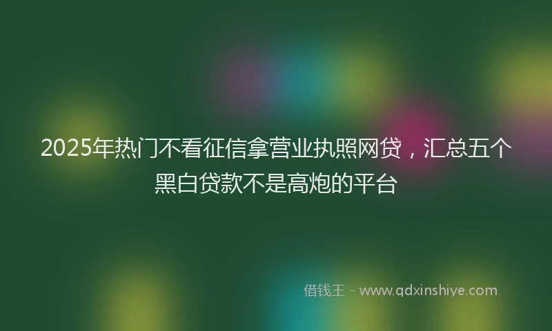 2025年热门不看征信拿营业执照网贷，汇总五个黑白贷款不是高炮的平台