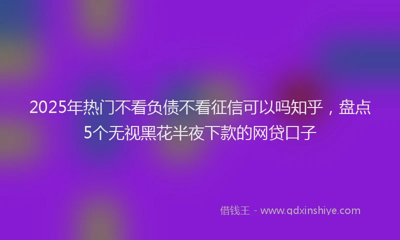 2025年热门不看负债不看征信可以吗知乎，盘点5个无视黑花半夜下款的网贷口子