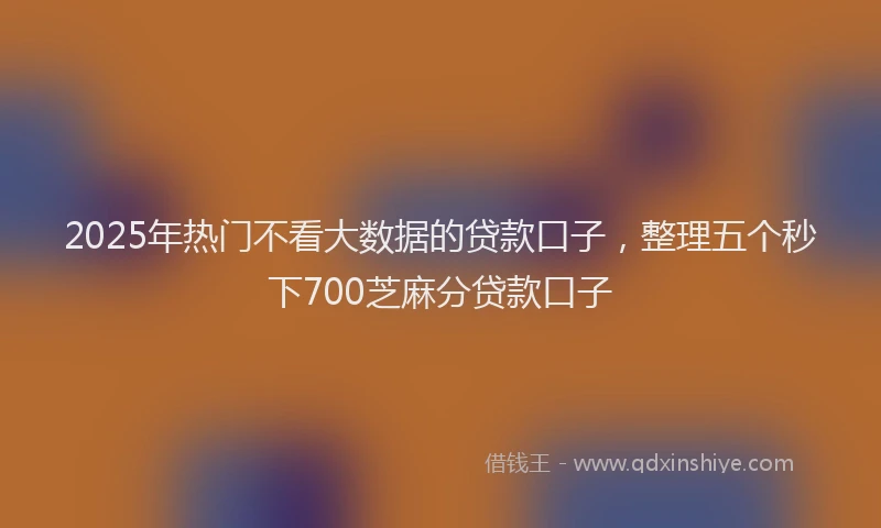 2025年热门不看大数据的贷款口子，整理五个秒下700芝麻分贷款口子