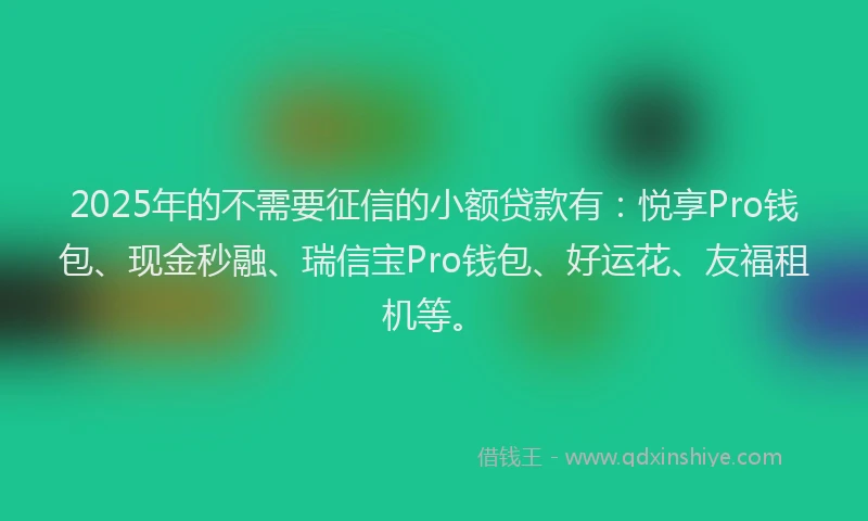 2025年的不需要征信的小额贷款有：悦享Pro钱包、现金秒融、瑞信宝Pro钱包、好运花、友福租机等。