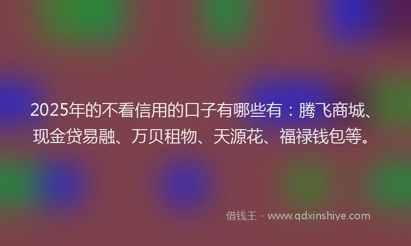 2025年的不看信用的口子有哪些有：腾飞商城、现金贷易融、万贝租物、天源花、福禄钱包等。