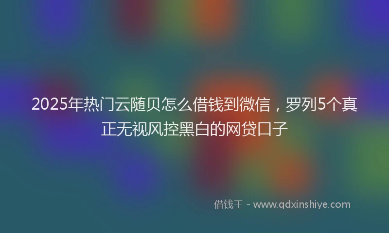 2025年热门云随贝怎么借钱到微信，罗列5个真正无视风控黑白的网贷口子