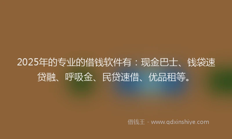 2025年的专业的借钱软件有：现金巴士、钱袋速贷融、呼吸金、民贷速借、优品租等。