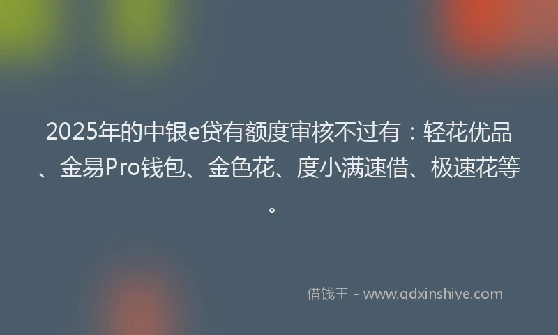 2025年的中银e贷有额度审核不过有：轻花优品、金易Pro钱包、金色花、度小满速借、极速花等。