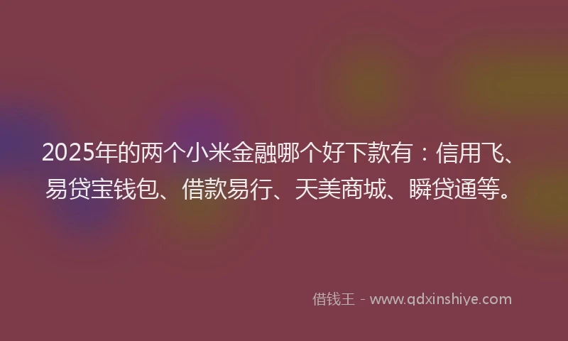 2025年的两个小米金融哪个好下款有：信用飞、易贷宝钱包、借款易行、天美商城、瞬贷通等。