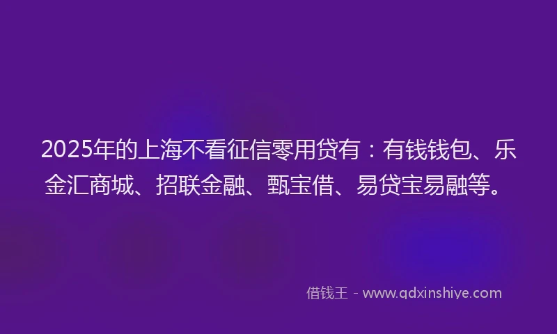 2025年的上海不看征信零用贷有：有钱钱包、乐金汇商城、招联金融、甄宝借、易贷宝易融等。