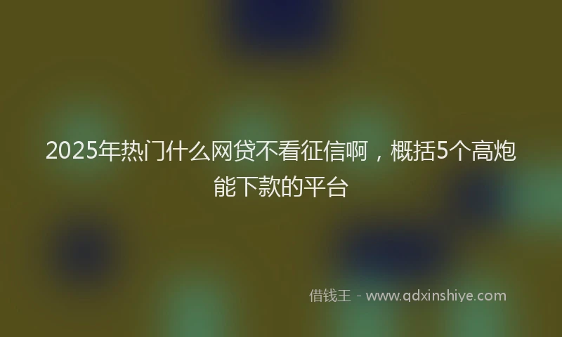 2025年热门什么网贷不看征信啊，概括5个高炮能下款的平台