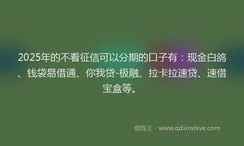 2025年的不看征信可以分期的口子有：现金白鸽、钱袋易借通、你我贷-极融、拉卡拉速贷、速借宝盒等。