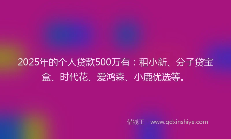 2025年的个人贷款500万有：租小新、分子贷宝盒、时代花、爱鸿森、小鹿优选等。